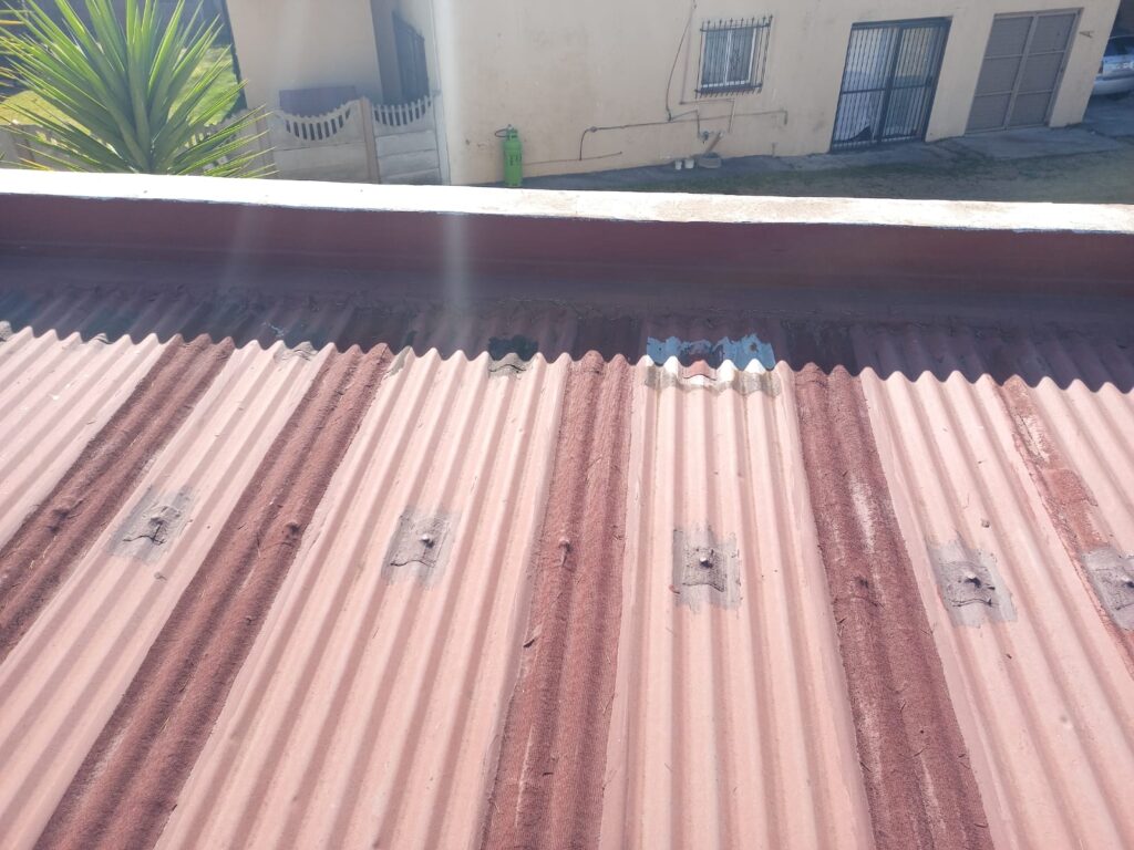 WhatsApp Image 2023-04-14 at 12.26.21 PM (1)