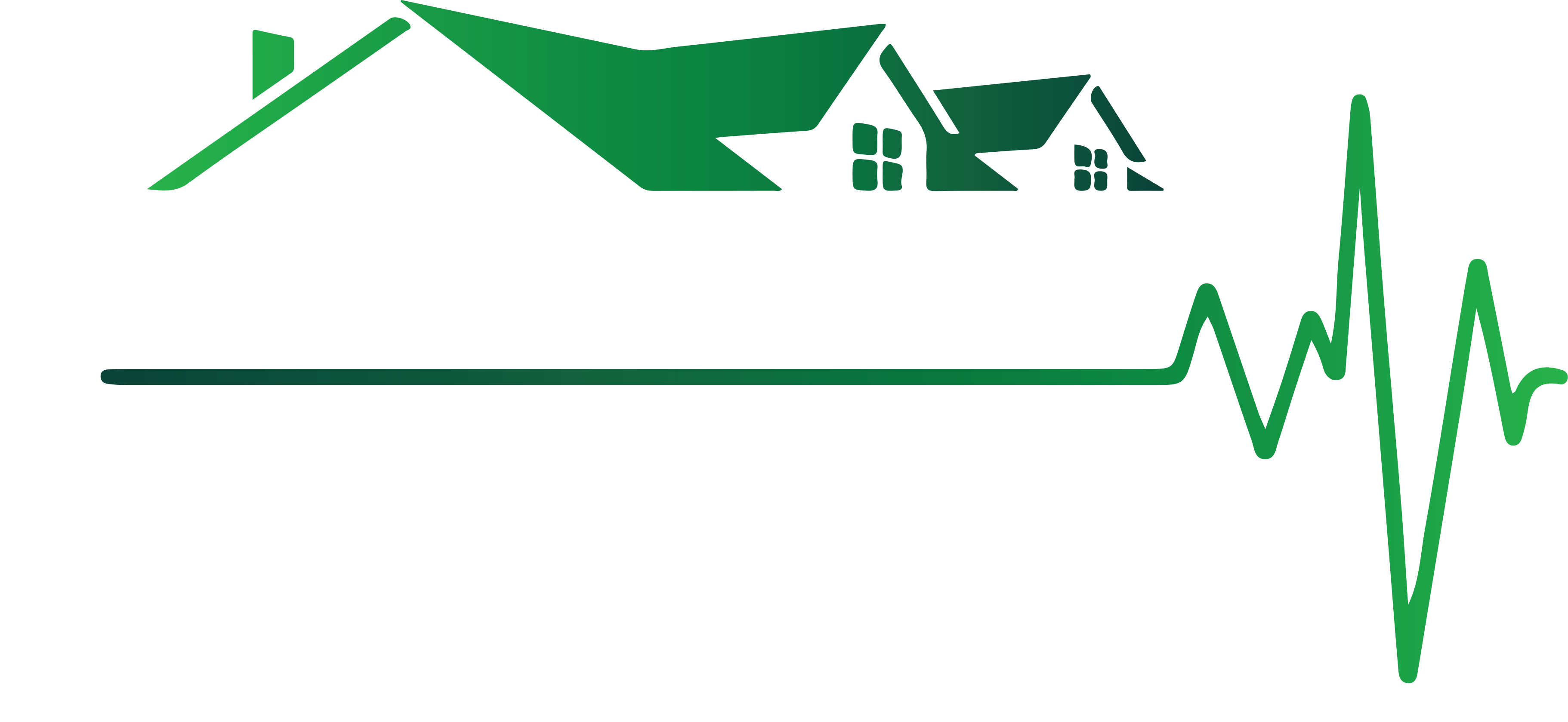 The Roof Medics Logo white